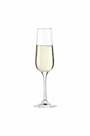 Sektglas Tivoli mit Sekt gefüllt, frontal fotografiert