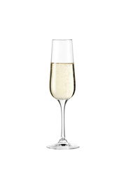 Sektglas Tivoli mit Sekt gefüllt, frontal fotografiert