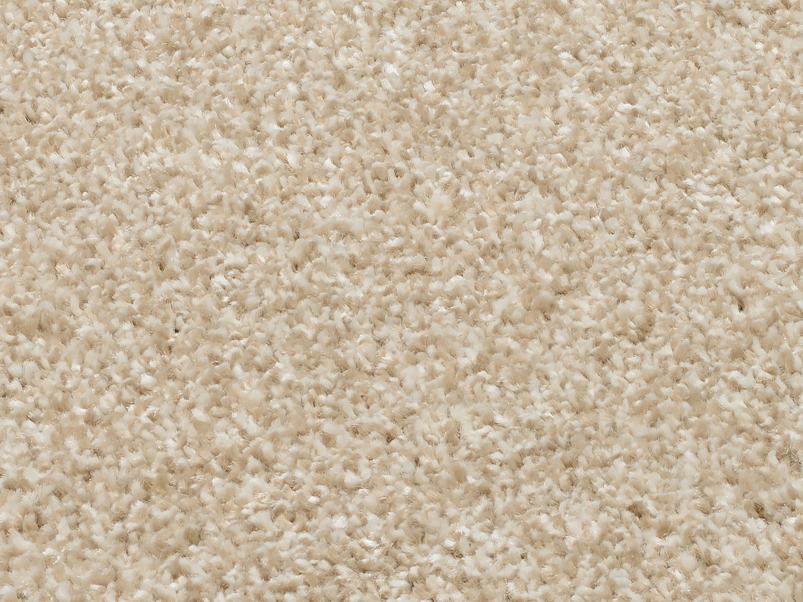 Nahaufnahme eines beigen Uni-Teppichs mit weicher, flauschiger Textur.