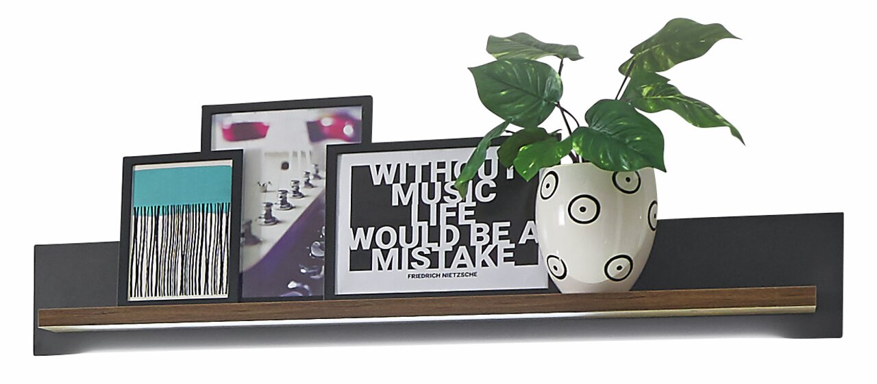 Wandpaneel mit dekorativen Elementen, darunter Bilderrahmen und eine Pflanze in einem gemusterten Topf, aus der Perspektive von vorne betrachtet.