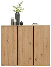 Schuhschrank aus Holz mit drei Türen, dekoriert mit Vasen und Pflanzen, Frontalansicht