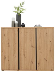 Schuhschrank aus Holz mit drei Türen, dekoriert mit Vasen und Pflanzen, Frontalansicht