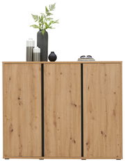 Schuhschrank aus Holz mit drei Türen, dekoriert mit Vasen und Pflanzen, Frontalansicht