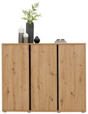 Houten schoenenkast met drie deuren, versierd met vazen en planten, vooraanzicht