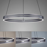 Moderne Pendelleuchte PURE-E-LOOP von Paul Neuhaus in seitlicher Perspektive, mit elegantem, ringförmigem Design und LED-Beleuchtung.