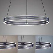 Moderne Pendelleuchte PURE-E-LOOP von Paul Neuhaus in seitlicher Perspektive, mit elegantem, ringförmigem Design und LED-Beleuchtung.