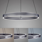 Moderne hanglamp PURE-E-LOOP van Paul Neuhaus in zijaanzicht, met een elegant, ringvormig ontwerp en ledverlichting.