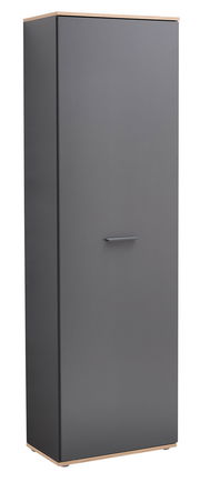 Moderner Hochschrank in dunklem Grau mit Holzdetails, frontale Perspektive