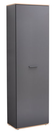 Moderner Hochschrank in dunklem Grau mit Holzdetails, frontale Perspektive