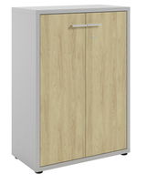 Aktenschrank mit zwei Holztüren, silbernem Rahmen und Griffen, seitliche Perspektive