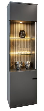 Moderne Vitrine mit Glasregalen und Beleuchtung, frontal betrachtet.