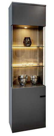 Moderne Vitrine mit Glasregalen und Beleuchtung, frontal betrachtet.