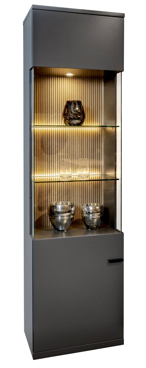 Moderne Vitrine mit Glasregalen und Beleuchtung, frontal betrachtet.