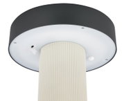 Runde schwarze LED-Deckenleuchte mit weißem Diffusor und geriffeltem, hellem Zylinderkörper, Ansicht von unten (Untersicht)