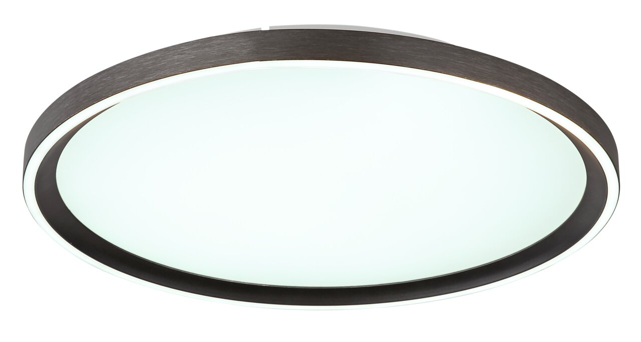 Moderne ronde plafondlamp met zwarte rand, zijaanzicht