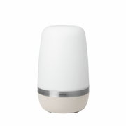 LED-buitenlamp SPIRIT in vooraanzicht, modern ontwerp met witte lichtverspreider en zilveren accenten.