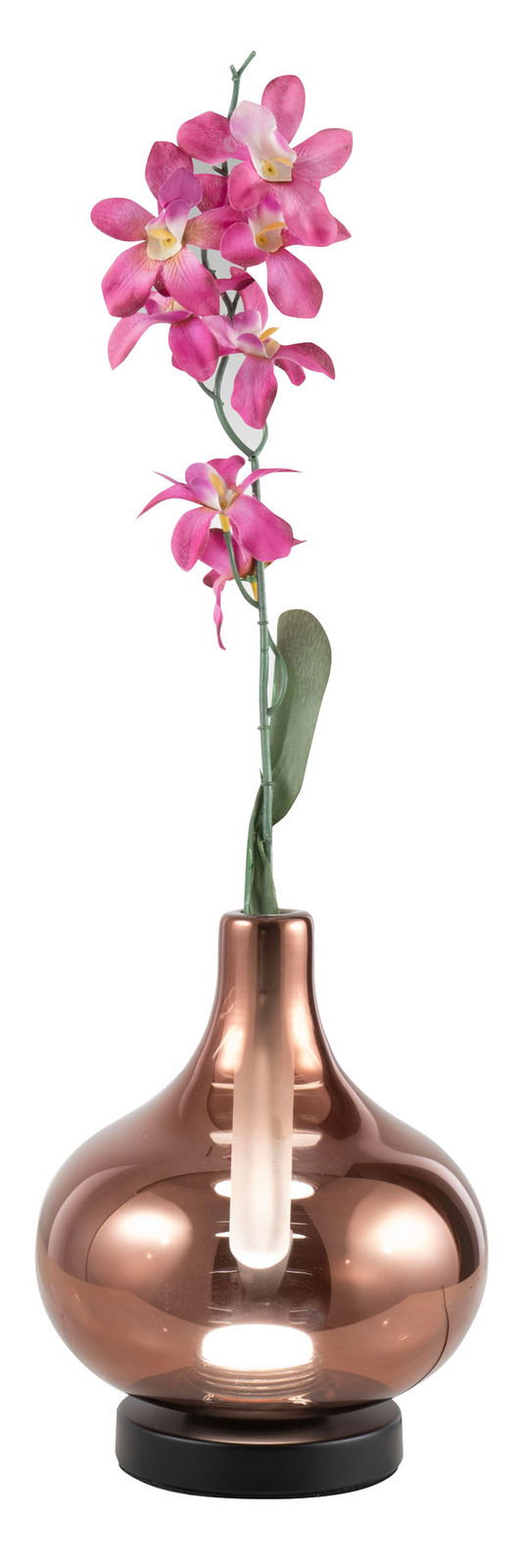 Fabas Luce LED-Glasvasenleuchte CRODO LED-Glasvasenleuchte mit rosafarbenen Blumen, seitliche Perspektive