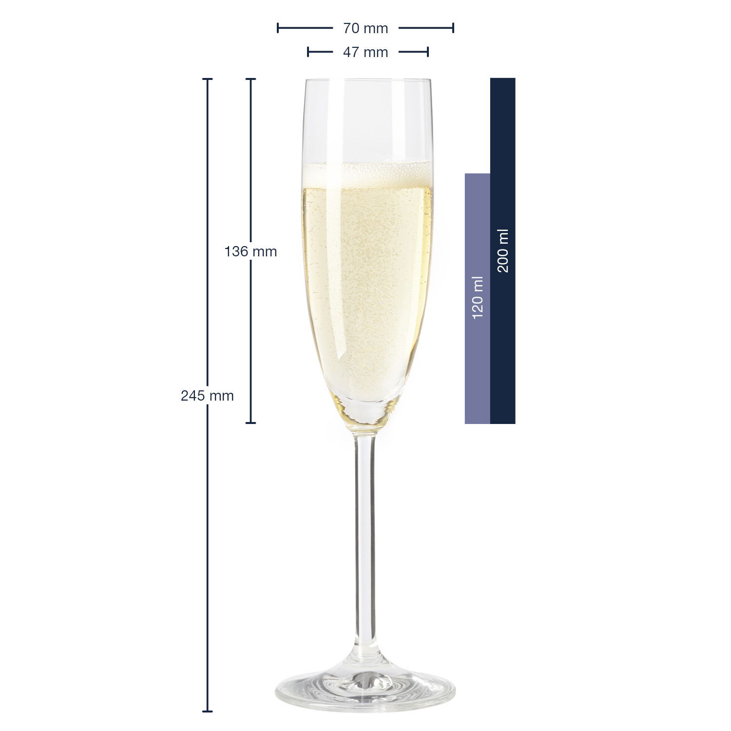 Sektglas Daily, seitliche Ansicht, 245 mm hoch, 70 mm Durchmesser, 120 ml Fassungsvermögen