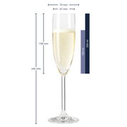 Sektglas Daily, seitliche Ansicht, 245 mm hoch, 70 mm Durchmesser, 120 ml Fassungsvermögen