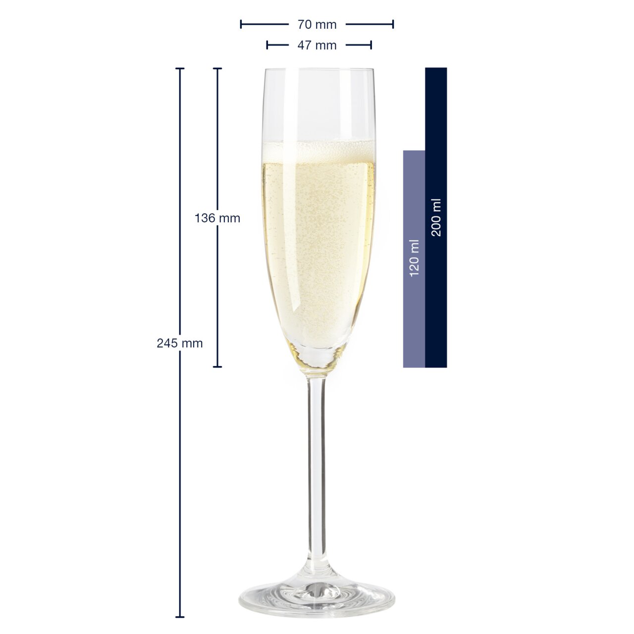 Champagneglas Daily, zijaanzicht, 245 mm hoog, 70 mm diameter, inhoud 120 ml