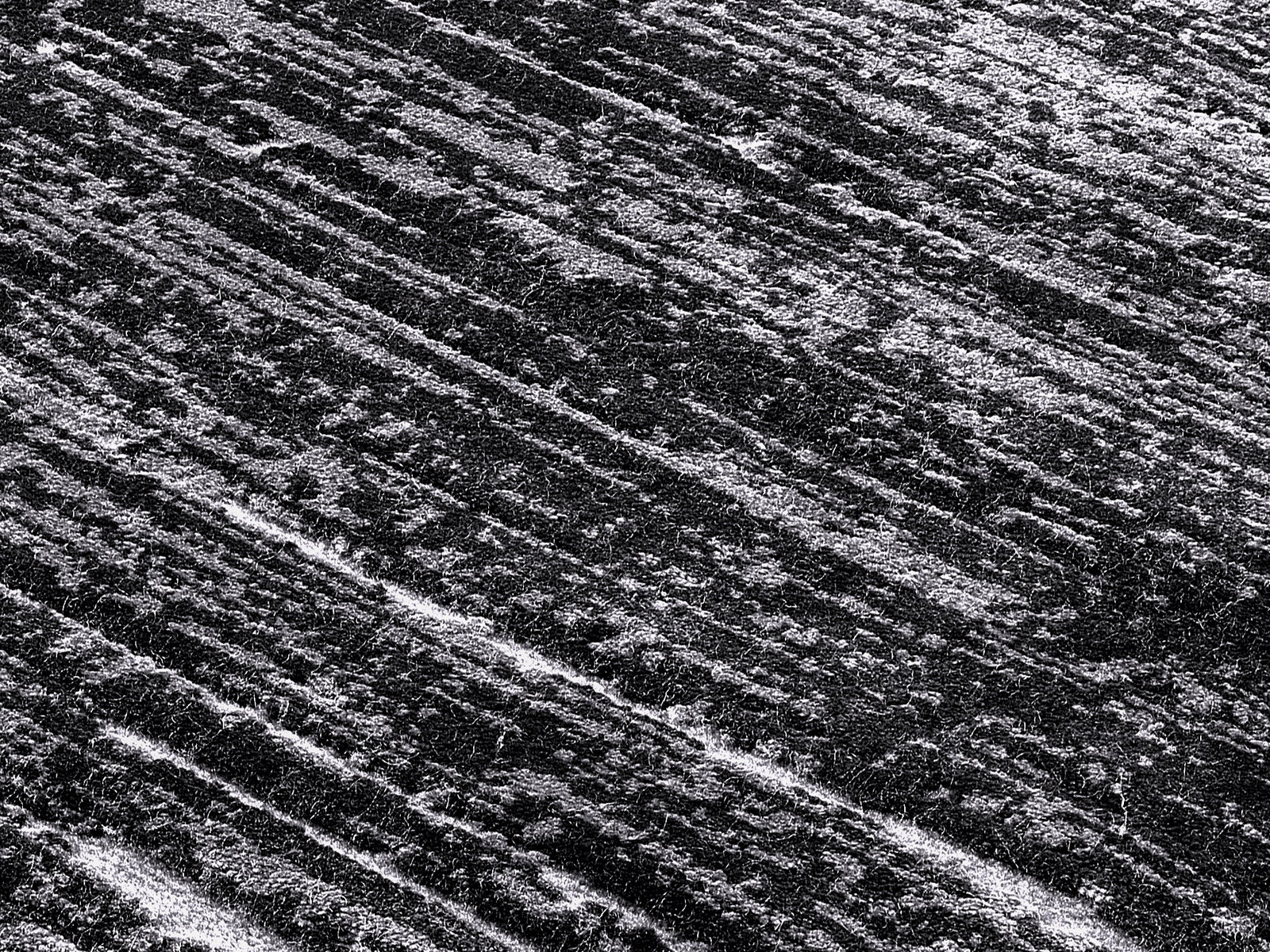 Nahaufnahme eines Designer Teppichs mit diagonalen, strukturierten Linien in Grautönen, aus der Vogelperspektive aufgenommen.