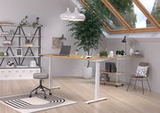 Moderner höhenverstellbarer E-Schreibtisch in einem stilvollen, hellen Raum mit Dachfenster, Pflanzen und Regalen, seitliche Perspektive.