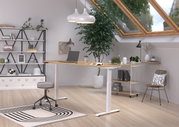 Modern, in hoogte verstelbaar elektrisch bureau in een stijlvolle, lichte ruimte met dakraam, planten en planken, gezien vanuit de zijkant.