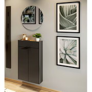 Moderne Garderobe mit Spiegel und Pflanzenbildern, seitliche Perspektive