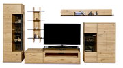 Wandkombination aus Holz mit TV-Schrank, Vitrine und Regalen, frontal betrachtet.