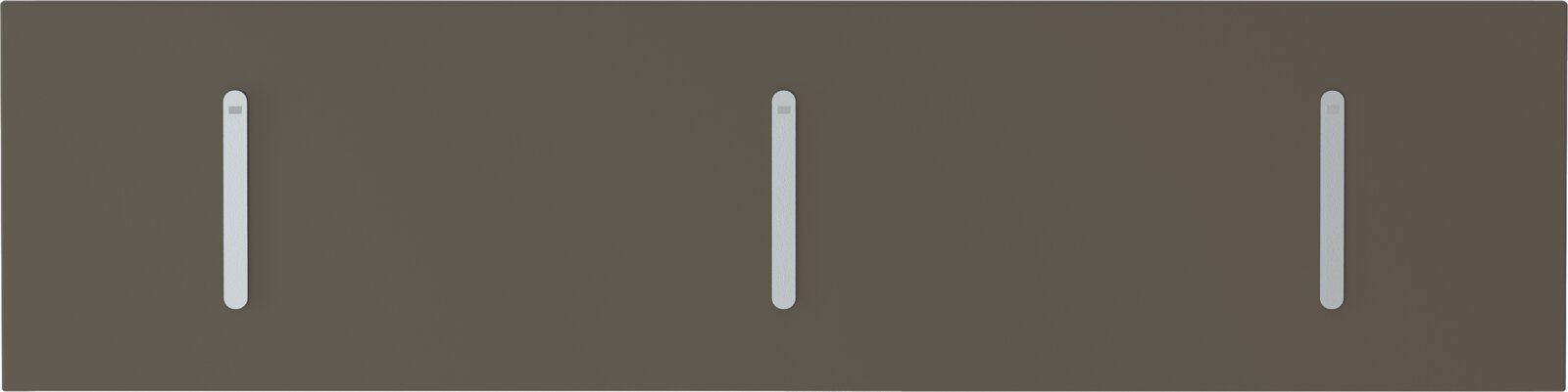 Klapphakenleiste quer mit drei Haken, frontal betrachtet