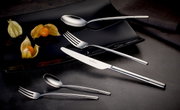 Elegantes, satiniertes 30-teiliges Besteckset auf schwarzem Teller mit Physalis, seitliche Perspektive.