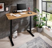 Moderner höhenverstellbarer E-Schreibtisch mit Holzplatte und schwarzem Gestell, seitliche Perspektive, ausgestattet mit Computer, Lampe und Pflanzen.