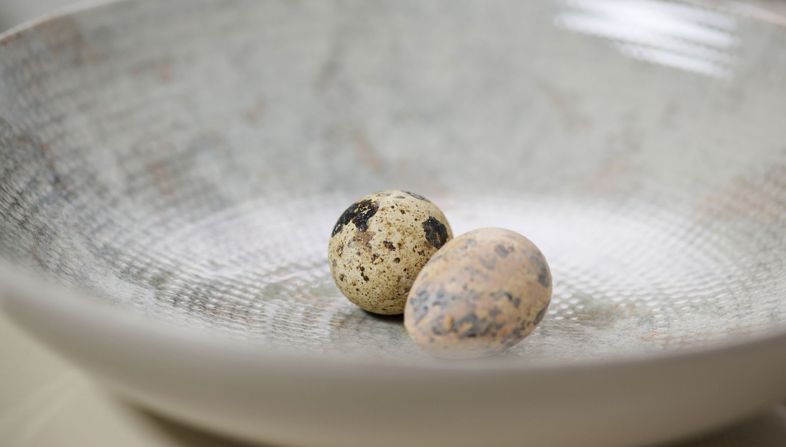 Nahaufnahme von zwei Wachteleiern in einer strukturierten, grauen Schale.