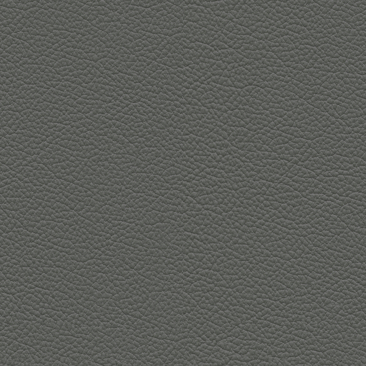 Nahaufnahme von dunkelgrauem Lederbezug mit feiner Narbung, perspektivisch von oben betrachtet.