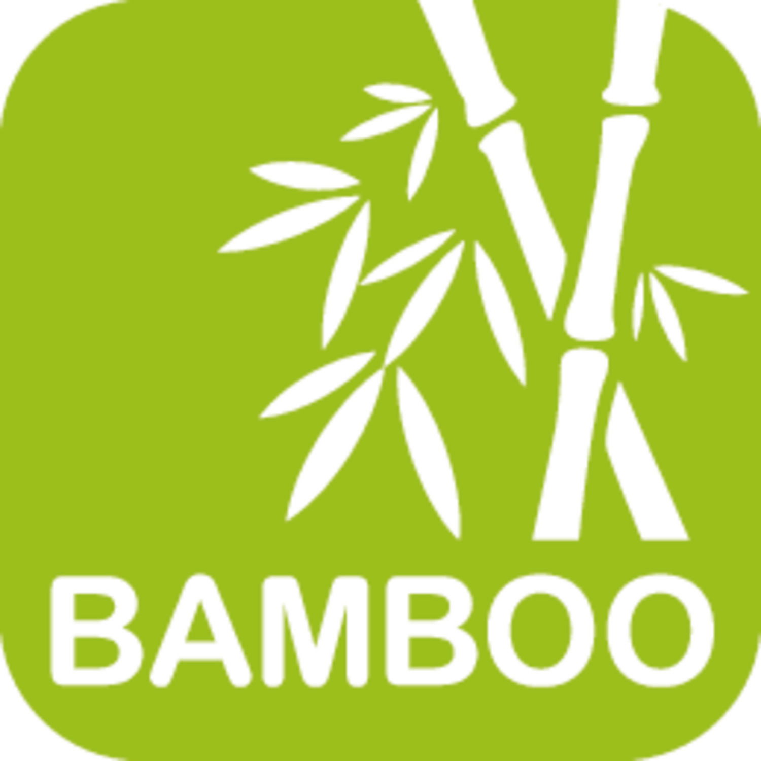 Grünes Logo mit stilisiertem Bambus und dem Wort 'BAMBOO', Vorderansicht