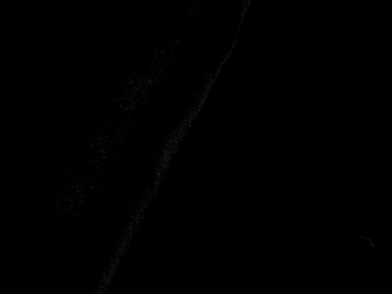 Nahaufnahme eines schwarzen Fellteppichs mit weicher Textur