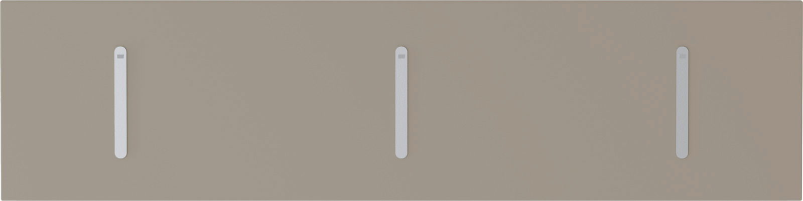 Klapphakenleiste quer mit drei Haken, frontal abgebildet auf neutralem Hintergrund