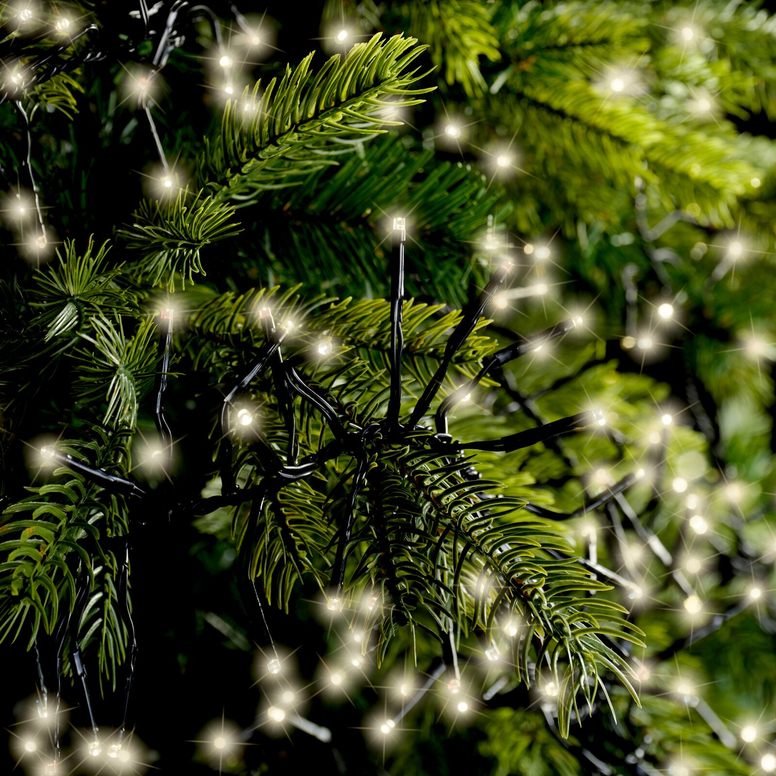 Close-up van warmwitte LED-kerstverlichting met zwarte kabel tussen groene dennentakken, vanuit vooraanzicht