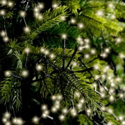 Close-up van warmwitte LED-kerstverlichting met zwarte kabel tussen groene dennentakken, vanuit vooraanzicht