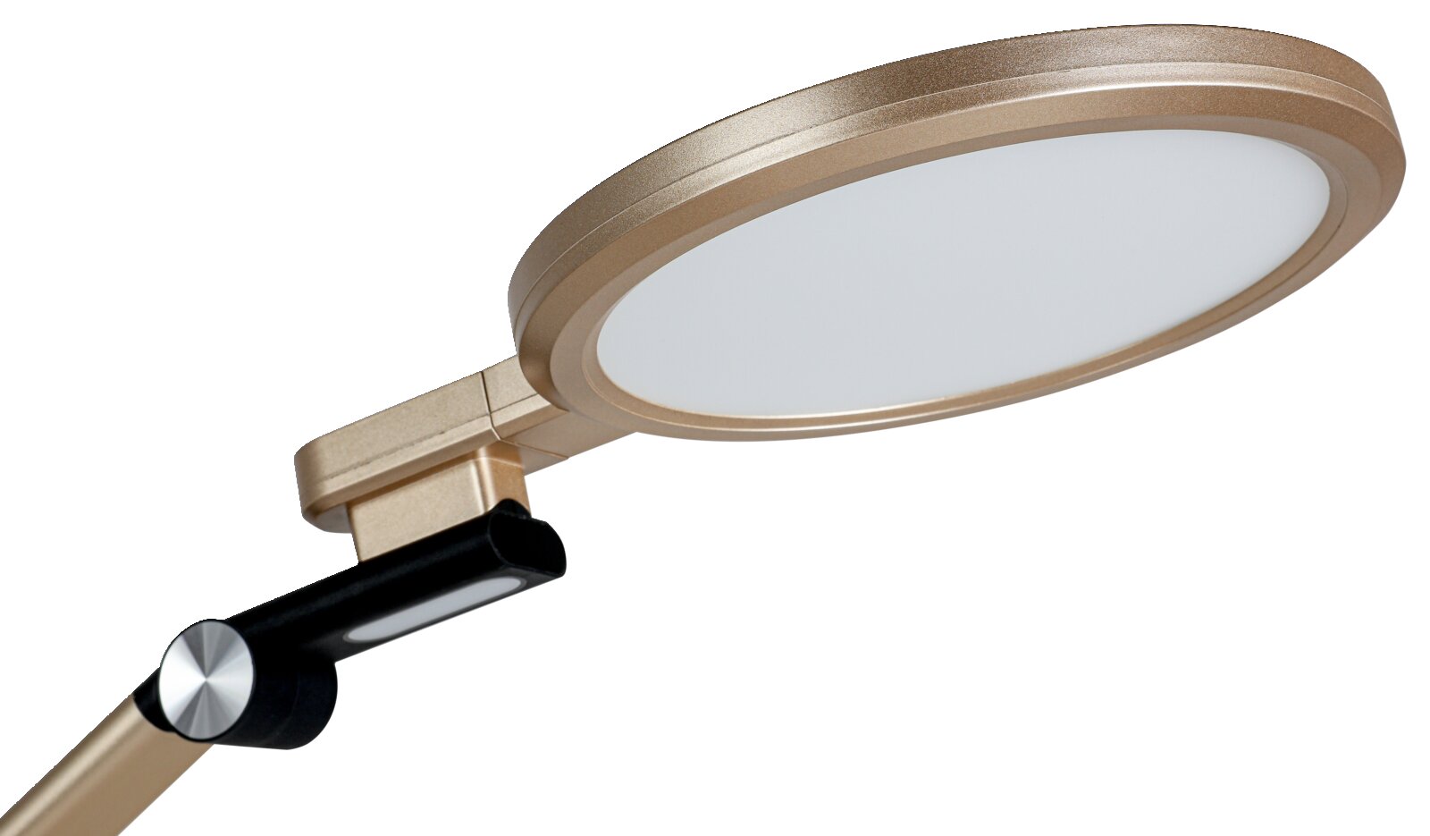 Runde LED-Schreibtischlampe in Gold/Champagner mit schwarzem Gelenkarm und flachem Diffusor, Nahaufnahme in schräger Seitenansicht von unten vor weißem Hintergrund