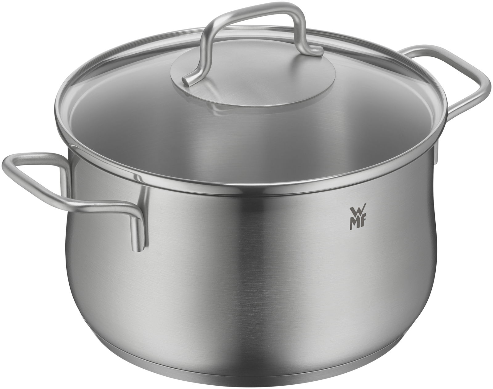 Edelstahlkochtopf mit Deckel und zwei Griffen, seitliche Perspektive