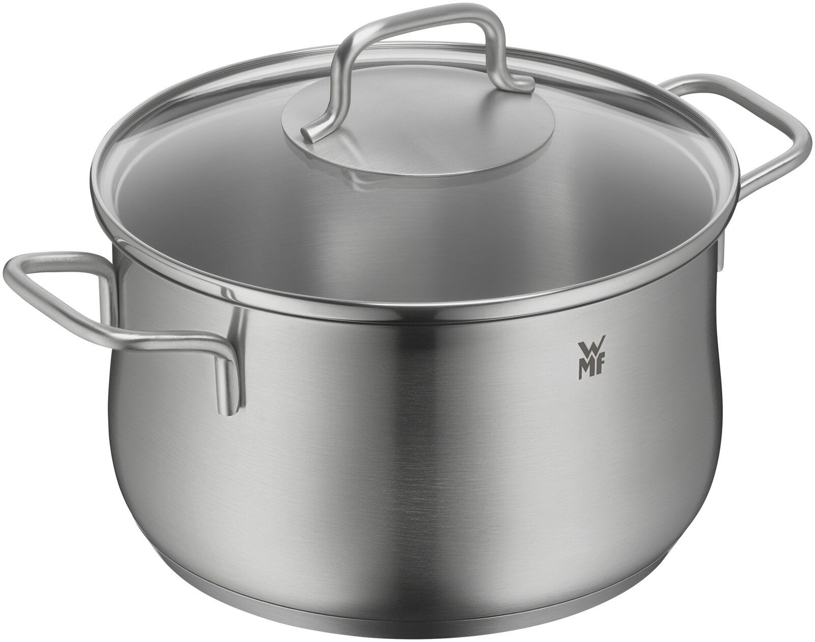Edelstahlkochtopf mit Deckel und zwei Griffen, seitliche Perspektive