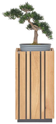 Moderner Beistelltisch aus Holz mit vertikalen Streben, darauf ein Bonsai-Baum in einer grauen Schale, Frontalansicht.