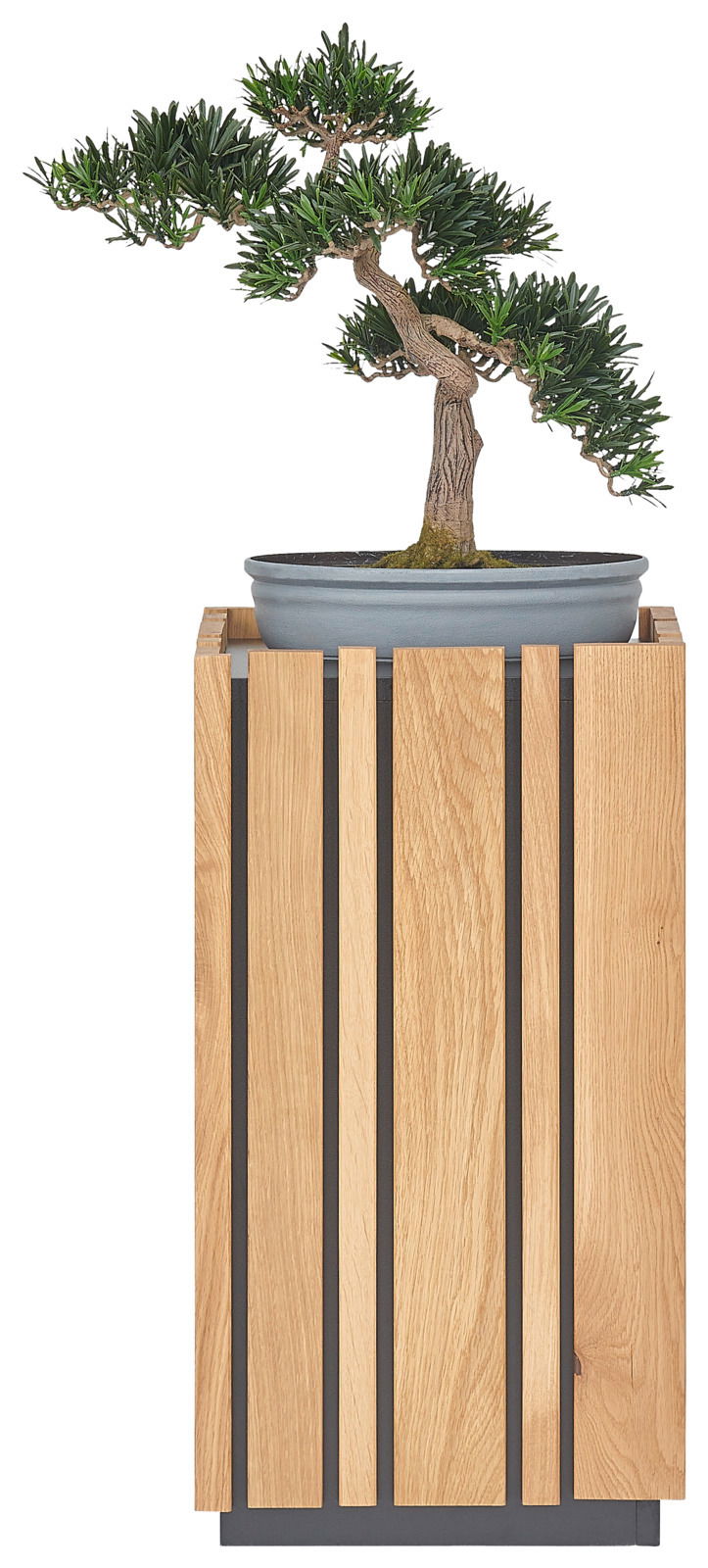 Moderner Beistelltisch aus Holz mit vertikalen Streben, darauf ein Bonsai-Baum in einer grauen Schale, Frontalansicht.