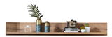 Holz-Wandregal mit Dekorationen, darunter Vasen, Bücher, eine Kamera und Pflanzen, aus frontaler Perspektive.