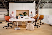 Drei Personen sitzen an einem modernen Konferenztisch auf farbigen Drehstühlen in einem hellen Büro mit Pflanzen im Hintergrund. Perspektive: Frontalansicht.