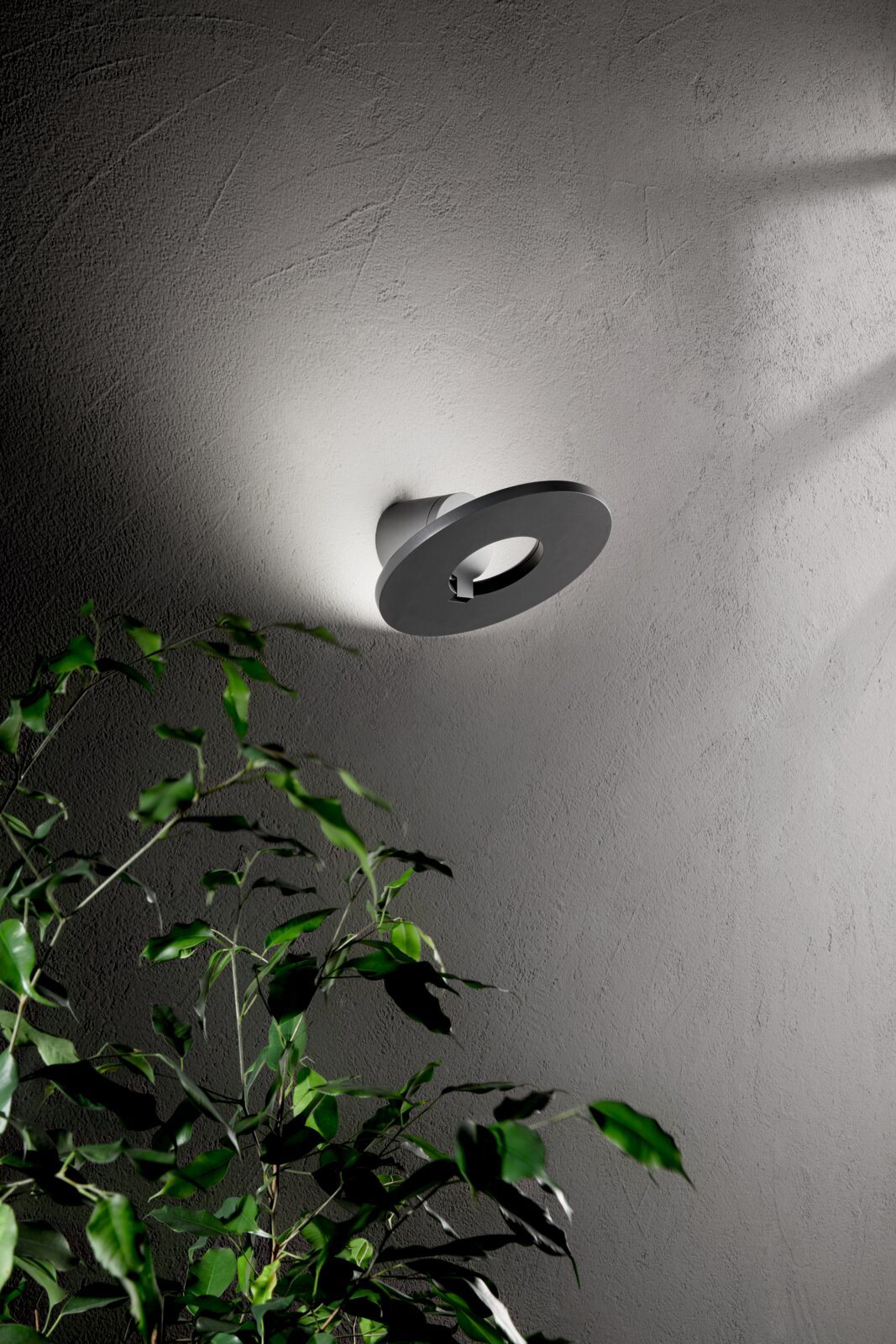 Moderne LED-Außenwandleuchte an einer Wand, seitliche Perspektive, mit Pflanzen im Vordergrund.