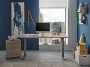 Moderner E-Schreibtisch in einem stilvollen Büro mit Blick auf die Natur durch ein großes Fenster. Der Schreibtisch ist aus Holz mit Metallbeinen und bietet Platz für einen Computer und Schreibtischzubehör. Perspektive: Frontalansicht.