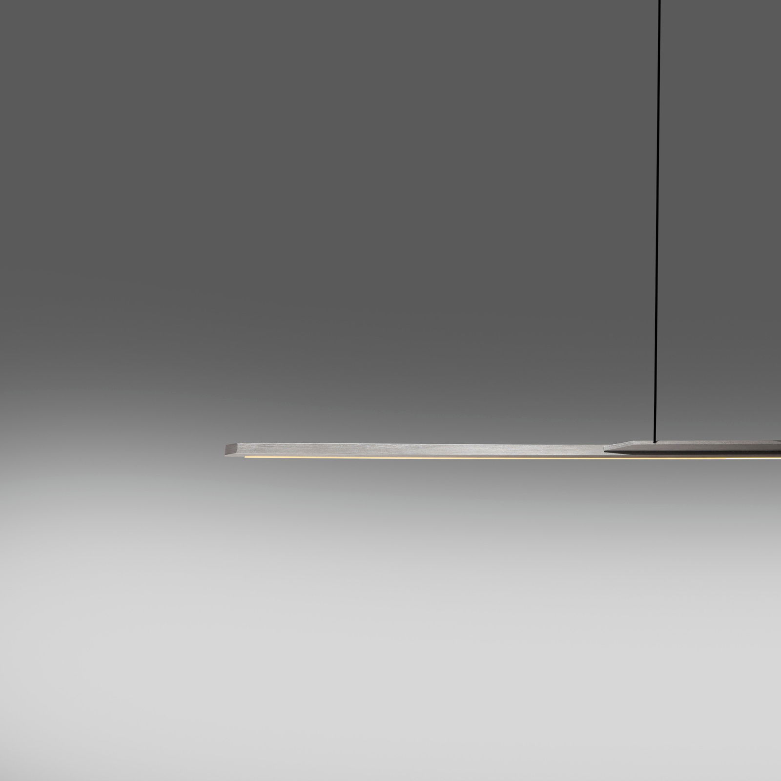 Moderne Pendelleuchte PURE Surface von Paul Neuhaus in seitlicher Perspektive, minimalistisch und elegant gestaltet.
