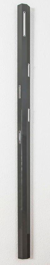 Schlankes, modernes Garderobenpaneel in dunkler Farbe mit mehreren Haken, seitliche Perspektive.